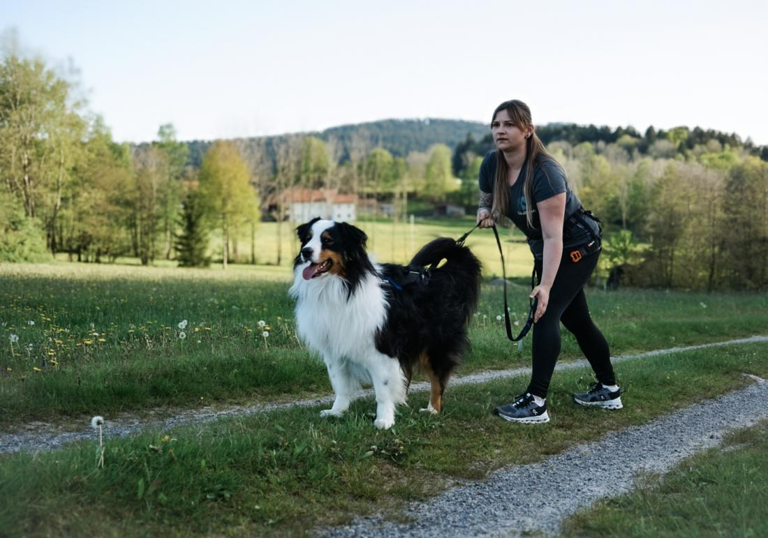 CaniCross Fortgeschrittene