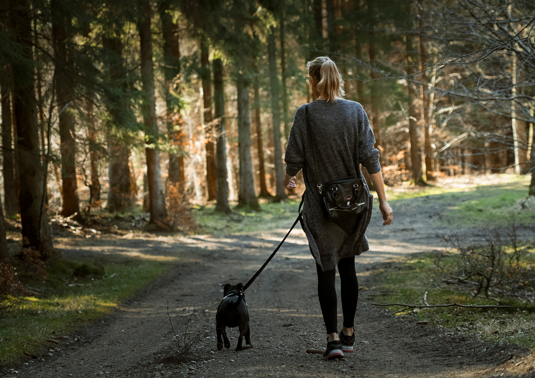 Hundewanderung